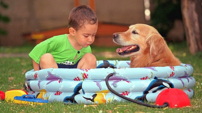 Der Hundepool sollte so groß sein, dass der Hund darin entspannt liegen kann.
