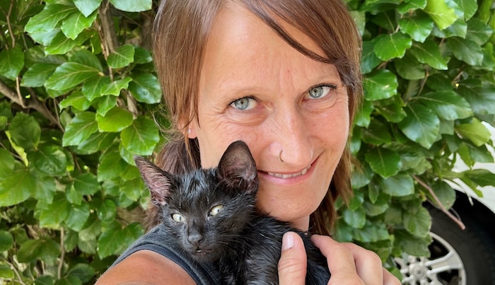 Brigitte Kainz vom Tierheim Krems kümmert sich liebevoll um den Stubentiger.