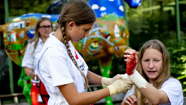 Ob Kreislauf-Kollaps oder blutende Schnittwunde. Bei der Versorgung sitzt jeder Handgriff. (Bild: Imre Antal)