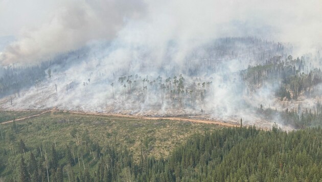 Bereits über zehn Millionen Hektar Wald wurden durch die Brände zerstört. Eine 19-jährige Feuerwehrfrau starb bei der Bekämpfung, (Bild: AFP)