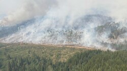 Bereits über zehn Millionen Hektar Wald wurden durch die Brände zerstört. Eine 19-jährige Feuerwehrfrau starb bei der Bekämpfung, (Bild: AFP)