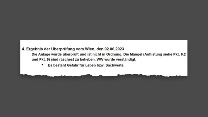 Ein Ausschnitt aus dem E-Befund (Bild: zVg, Krone KREATIV)