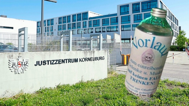 Die 31-jährige Konditorin sitzt in der Justizanstalt Korneuburg in Untersuchungshaft. (Bild: Krone KREATIV / Groh Klemens / zVg)