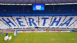 Wirbel um Hertha-Profi (Bild: GEPA pictures)