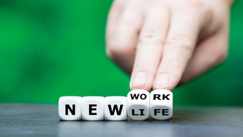 (Bild: stock.adobe.com)