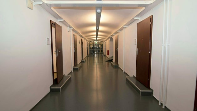 25 yaşındaki mahkum, diğer üç mahkumla birlikte revirdeki bir gözaltı odasındaydı. (Bild: Elmar Gubisch / picturedesk.com)