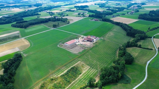 Auf diesen landwirtschaftlichen Flächen planen die ÖBB eine 18 Hektar große Fotovoltaikanlage. (Bild: Scharinger Daniel)