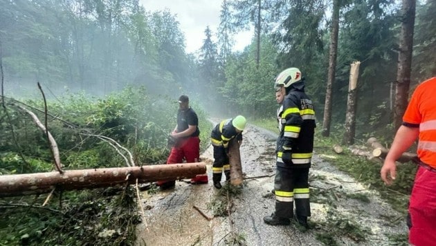 Unzählige Bäume stürzten auf Wege, vor allem in den Wäldern herrscht Chaos. (Bild: Gemeinde Völkermarkt)