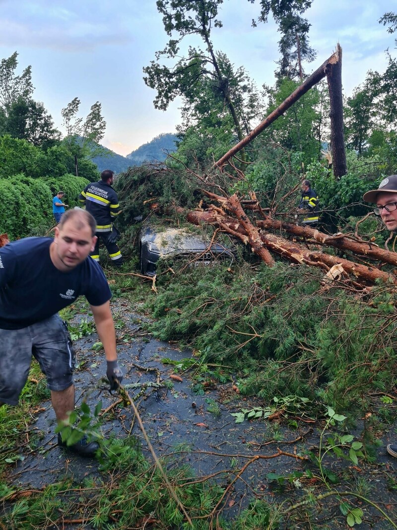 Ein Auto wurde zwischen St. Kanzian und Wasserhofen von den Baummassen komplett verschüttet. (Bild: zVg)