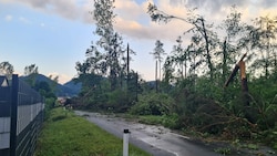 Bäume knicken bei dem Unwetter im Bezirk Völkermarkt um wie Streichhölzer. (Bild: zVg)