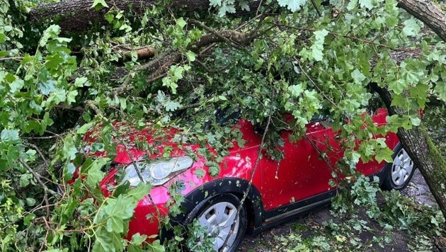 Mehrere Bäume sind in Völkermarkt auf ein Auto gestürzt. Zwei Personen mussten von der Feuerwehr befreit werden. (Bild: FF Grafenstein)