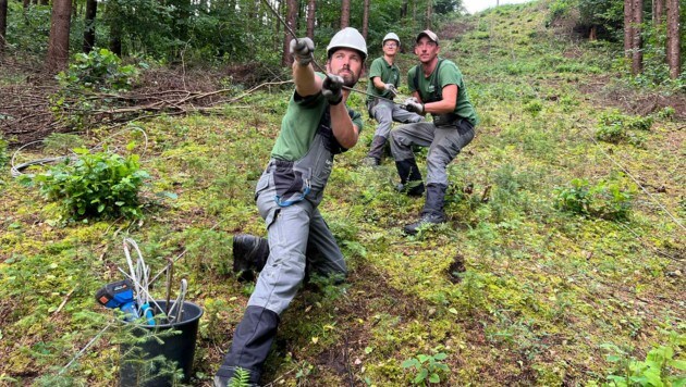 Mehr als 100 Mitarbeiter der Kärnten Netz stehen derzeit im Einsatz, um die Stromversorgung wiederherzustellen. (Bild: Kelag Energie)