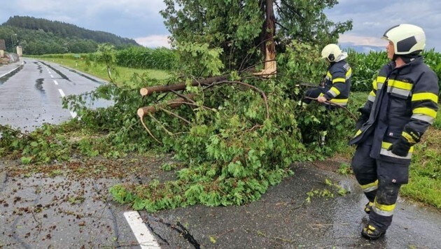 Seit den frühen Morgenstunden stehen Feuerwehrleute im Einsatz, um die Schäden in Eberndorf und St. Kanzian zu beheben. (Bild: FF Eberndorf)