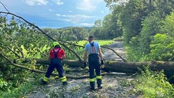 Sturmböen suchten Montagnachmittag das Südburgenland heim. In Rauchwart wurden Bäume entwurzelt. (Bild: Christian schulter)
