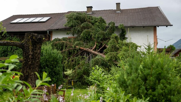 Entwurzelte und umgestürzte Bäume haben im ganzen Land große Schäden verursacht. Gerade hier ist es kompliziert, ob und wer hier zahlen muss. (Bild: Liebl Daniel/zeitungsfoto.at)