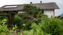 Entwurzelte und umgestürzte Bäume haben im ganzen Land große Schäden verursacht. Gerade hier ist es kompliziert, ob und wer hier zahlen muss. (Bild: Liebl Daniel/zeitungsfoto.at)