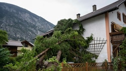 Dieser Baum fiel auf ein Haus in Tirol. (Bild: APA/ZEITUNGSFOTO.AT)