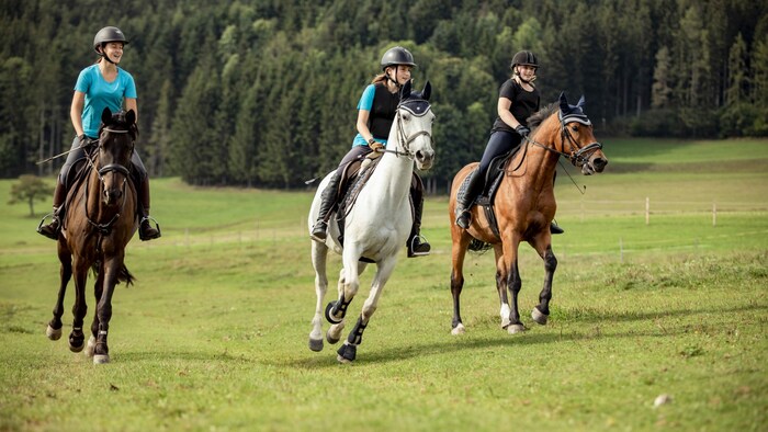 Auf den zertifizierten Reiterhöfen von Urlaub am Bauernhof findest du dein Pferd zum Liebhaben ...