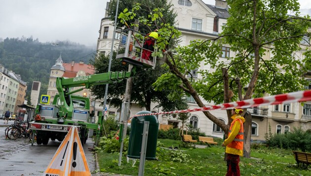 Um sich vor Ästen zu schützen, sollte man den nächsten Türstock suchen. (Bild: Liebl Daniel)