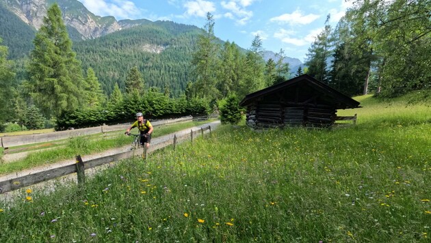 Die Fahrt führt auch durch herrliche Bergwiesen (Bild: Toni Silberberger)