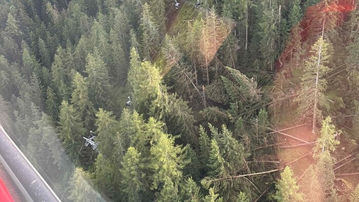 Die Sturmböen rissen viele Bäume aus, was die Bergungsarbeiten erschwerten.