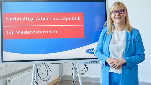 Sandra Kern ist neue Chefin des Arbeitsmarktservice NÖ. (Bild: photonews.at/Georges Schneider)