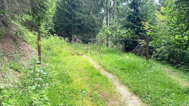 Im steirischen Kleinlobming wurde dieser Draht über einen Wanderweg gespannt. (Bild: zVg)