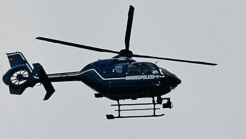 Polizeihubschrauber auf der Jagd nach dem Wildtier (Bild: APA/AFP/John MACDOUGALL)