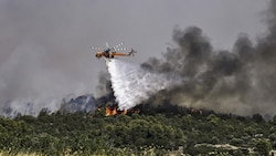 Der Brand in der griechischen Region Dervenochoria (Bild) konnte bereits weitgehend unter Kontrolle gebracht werden. (Bild: AFP)