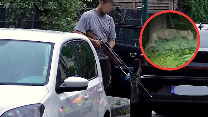 Die Suche nach einer freilaufenden Raubkatze in Berlin und Brandenburg soll am Freitag noch ...