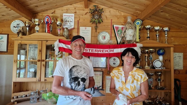 Andrea und Wolfgang Miks aus Lenzing sind unfassbar stolz auf ihren „Heinz“. Die Brieftaube gewann völlig überraschend das Halbfinale der Victoria Falls World Challenge in Afrika. (Bild: ZVG)
