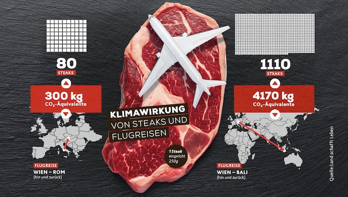 Der Flug von Wien nach Rom und zurück verursacht ungefähr dieselbe Klimawirkung wie der Verzehr von 80 Rindersteaks aus österreichischer Produktion á 250 Gramm. Der Flug nach Bali verursacht rechnerisch sogar fast die vierzehnfache Klimawirkung einer Rom-Reise und ist dann genauso groß, wie der Verzehr von 1.112 Rindersteaks