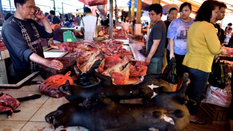 Indonesien ist eines der wenigen Länder weltweit, die aus traditionellen Gründen den Verkauf von Hunde- und Katzenfleisch zulassen. (Bild: AFP or licensors)