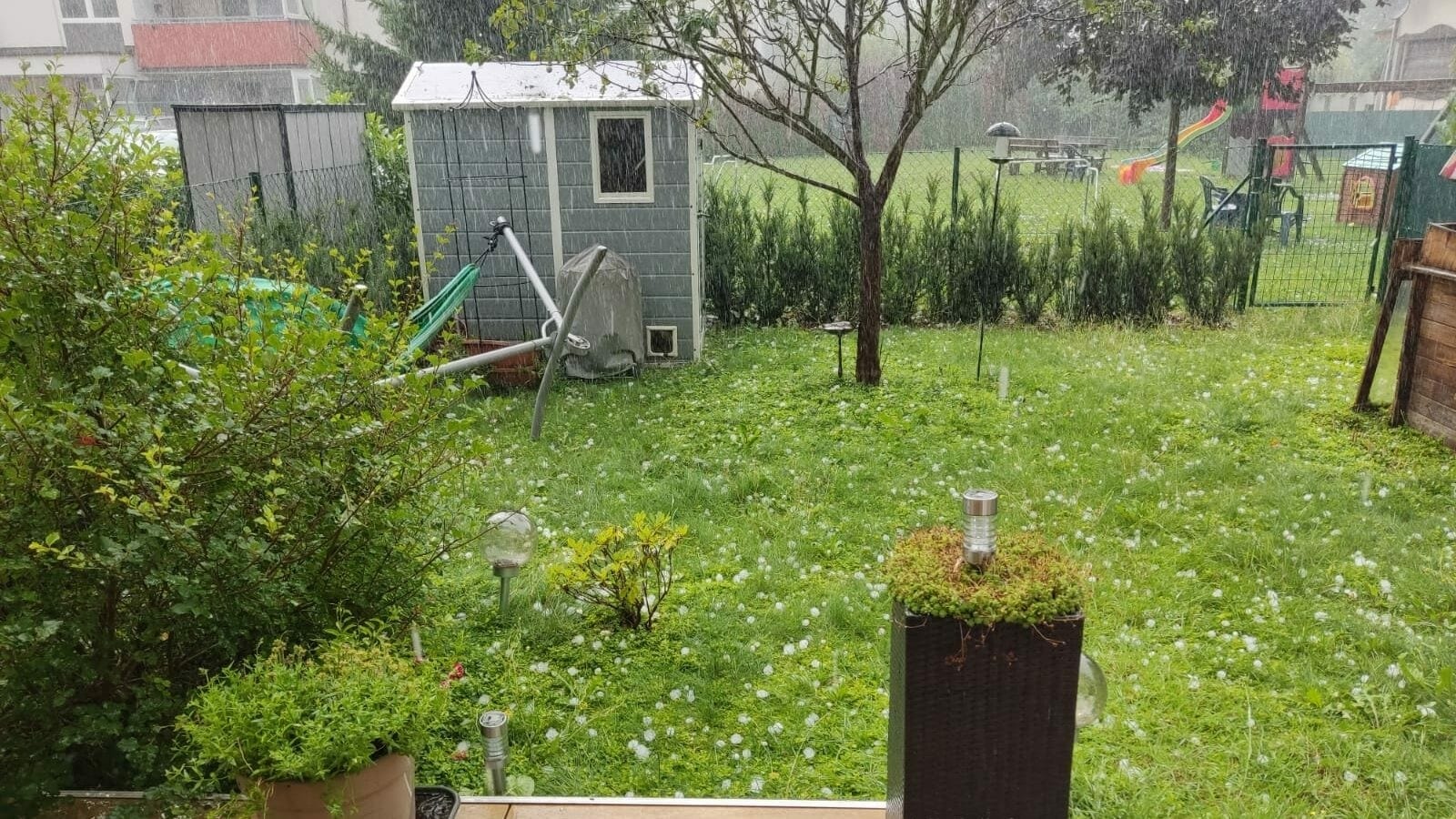 So manche Pflanze überlebte das Unwetter nicht.