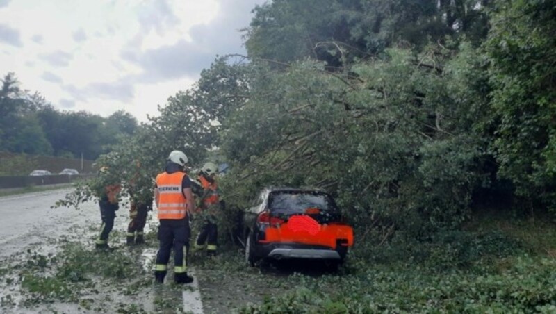 Auf der Südautobahn Richtung Italien stürzten Bäume auf ein Auto. Die Feuerwehr barg die Lenkerin und deren Hund. (Bild: zVg)