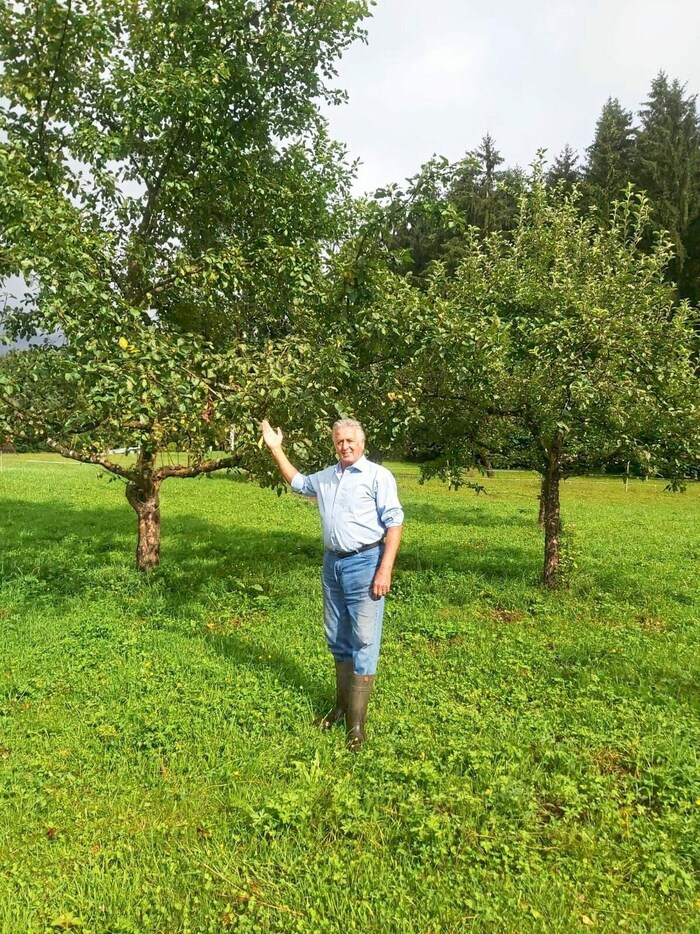 Auf den Obstbäumen von Werner Krassnitzer hängt heuer nicht viel.