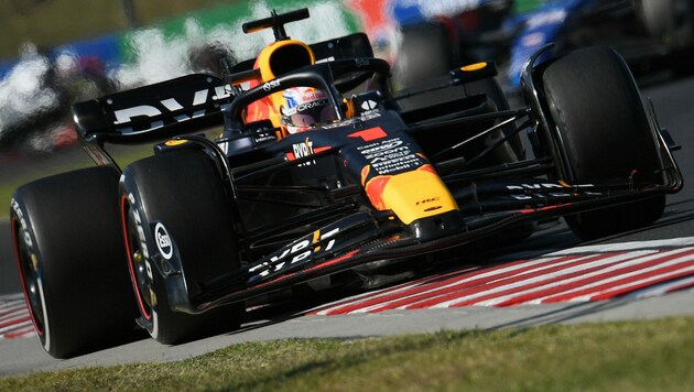 Max Verstappen gewinnt den GP von Ungarn. (Bild: APA/AFP/Ferenc ISZA)