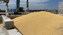 Die Regierungen Polens, Ungarns und der Slowakei haben angekündigt, ukrainisches Getreide (Bild) weiter vom eigenen Markt verbannen zu wollen. Dafür will sie die ukrainische Seite nun verklagen. (Bild: AFP)