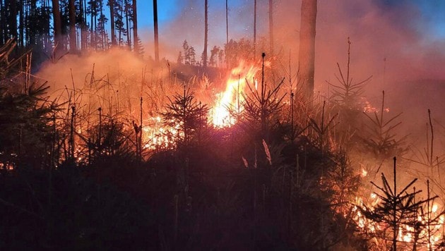 Waldbrände gehören zu den zerstörendsten Katastrophen im Sommer. (Bild: APA/AFK RAABS)