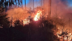 Waldbrände gehören zu den zerstörendsten Katastrophen im Sommer. (Bild: APA/AFK RAABS)