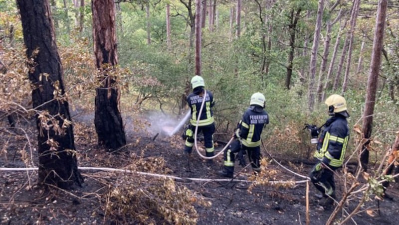 In Österreich werden acht von zehn der 150 bis 300 derartiger Waldbrände im Jahr durch Menschen ausgelöst. (Bild: APA/FF STADT BAD VSLAU)