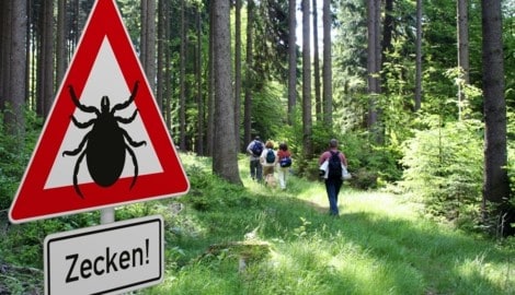 Vor einem Ausflug ins Grüne ist ein Blick in den Impfpass ratsam. (Bild: Heiko Barth)