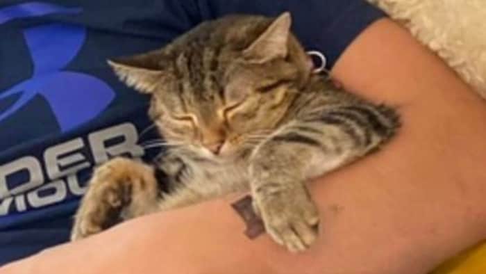 Die müde „Flotty“ möchte wieder in den Armen ihres Besitzers schlafen.