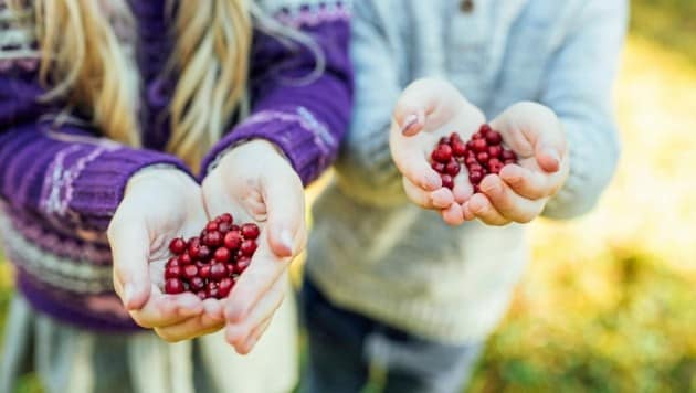 Die estnische Küche lebt von den „Früchten“ der Erde. (Bild: Visit Estonia)