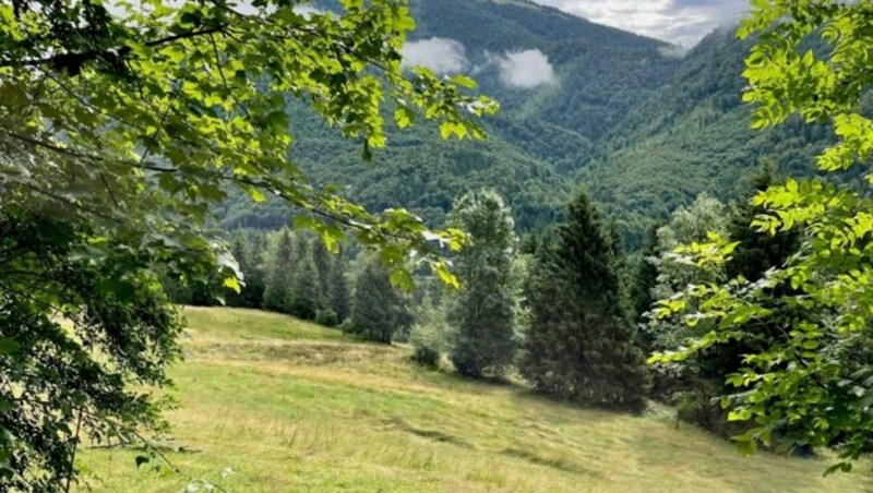 Die Wiesenfläche der Umweltbaustelle hoch über dem Wiestal bei Puch im Tennengau (Bild: Maximilian Kronberger)