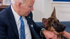 US-Präsident Joe Biden hat erneut tierische Probleme im Weißen Haus. (Bild: AFP)