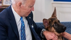 US-Präsident Joe Biden hat erneut tierische Probleme im Weißen Haus. (Bild: AFP)