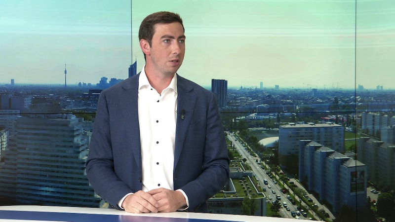 ÖVP-Europamandatar Alexander Bernhuber (Bild: krone.tv)