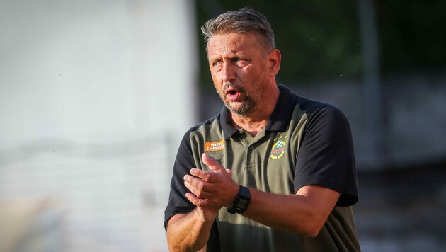 Rapid-Coach Zoran Barisic (Bild: GEPA pictures)