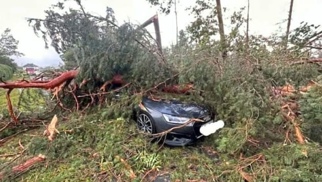 Sturm, Hagel und sintflutartiger Regen haben in den vergangenen Wochen in Kärnten enorme Schäden verursacht. (Bild: Klagenfurt Elite)